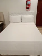Juego De Sabanas King Size 600 H Premium Bordadas - Imagen 16
